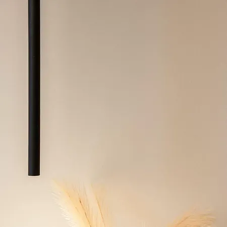 Valerianus Cluj-Napoca