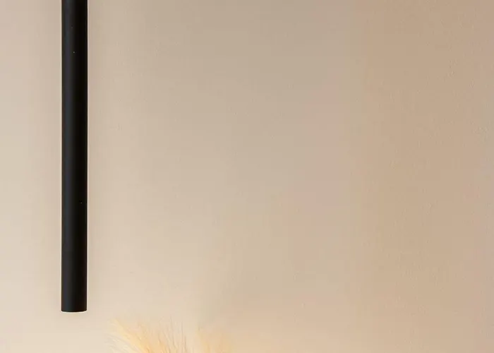 Valerianus Cluj-Napoca